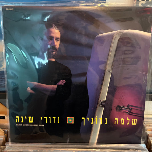 שלמה גרוניך - נדודי שינה