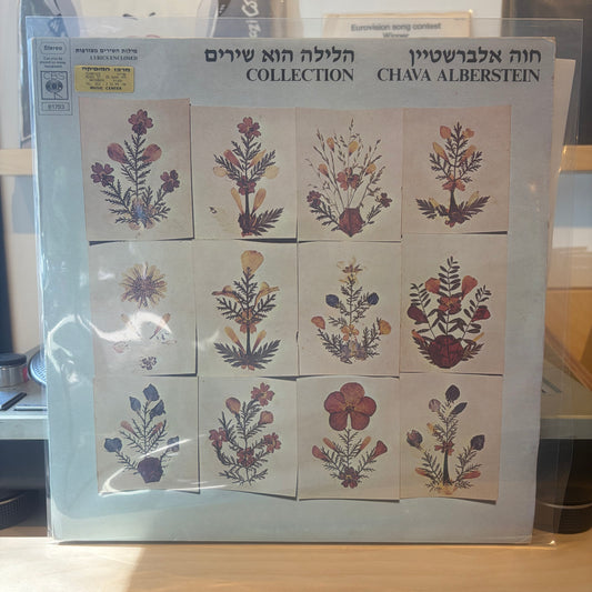 חוה אלברשטיין - הלילה הוא שירים