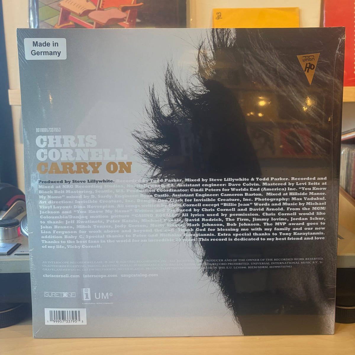 Chris Cornell - Carry On