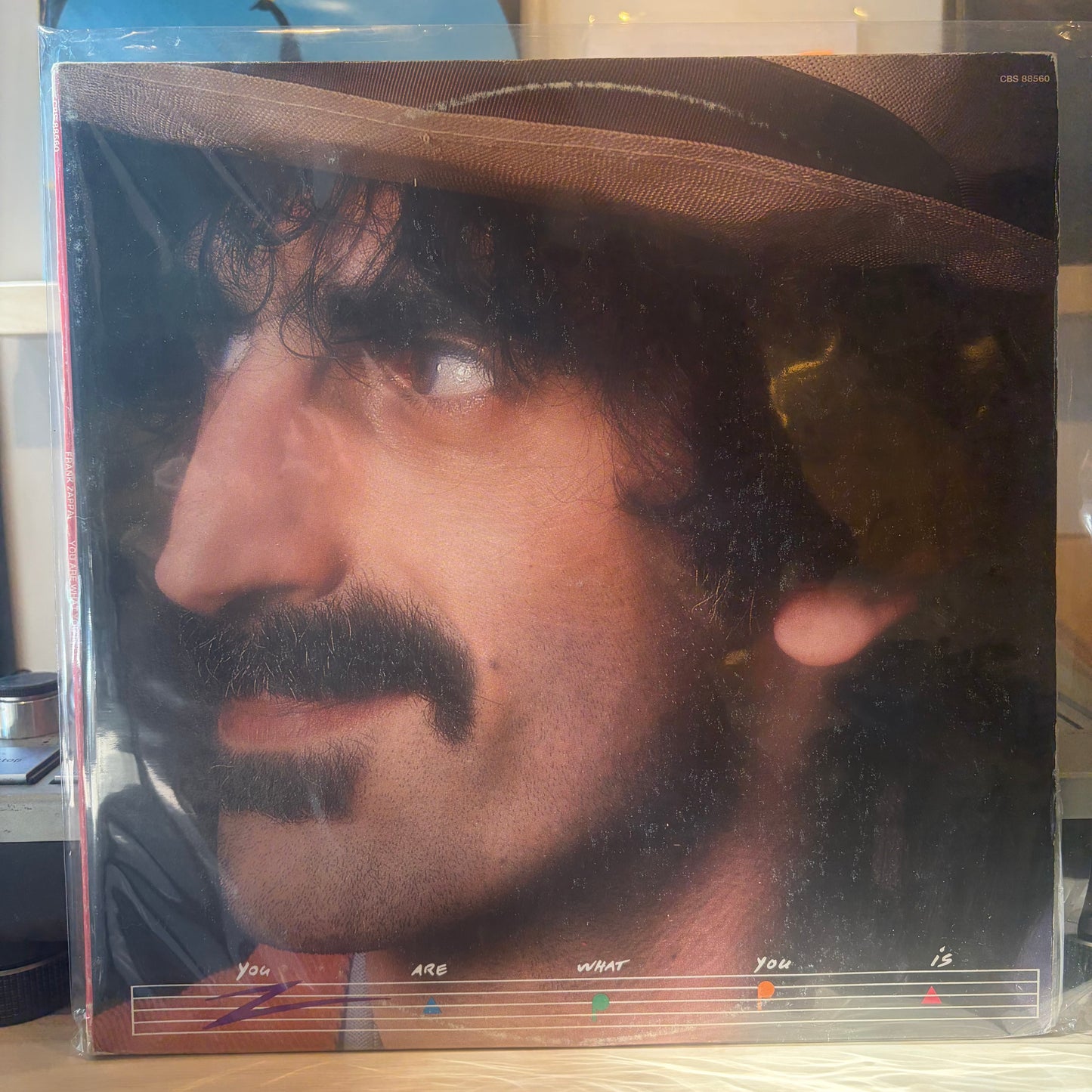 Frank Zappa - You Are What You Is
