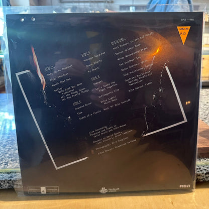 David Bowie — Ziggy Stardust - The Motion Picture