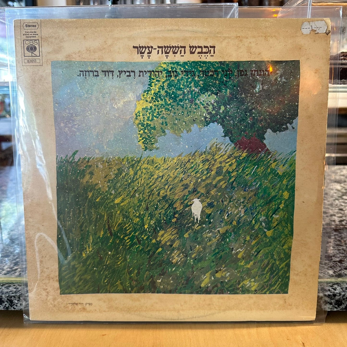 הכבש הששה עשר - הכבש הששה עשר