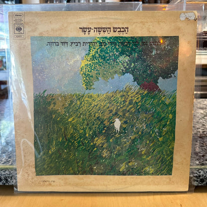 הכבש הששה עשר - הכבש הששה עשר