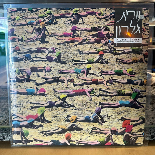 נורית גלרון — אחרינו המבול