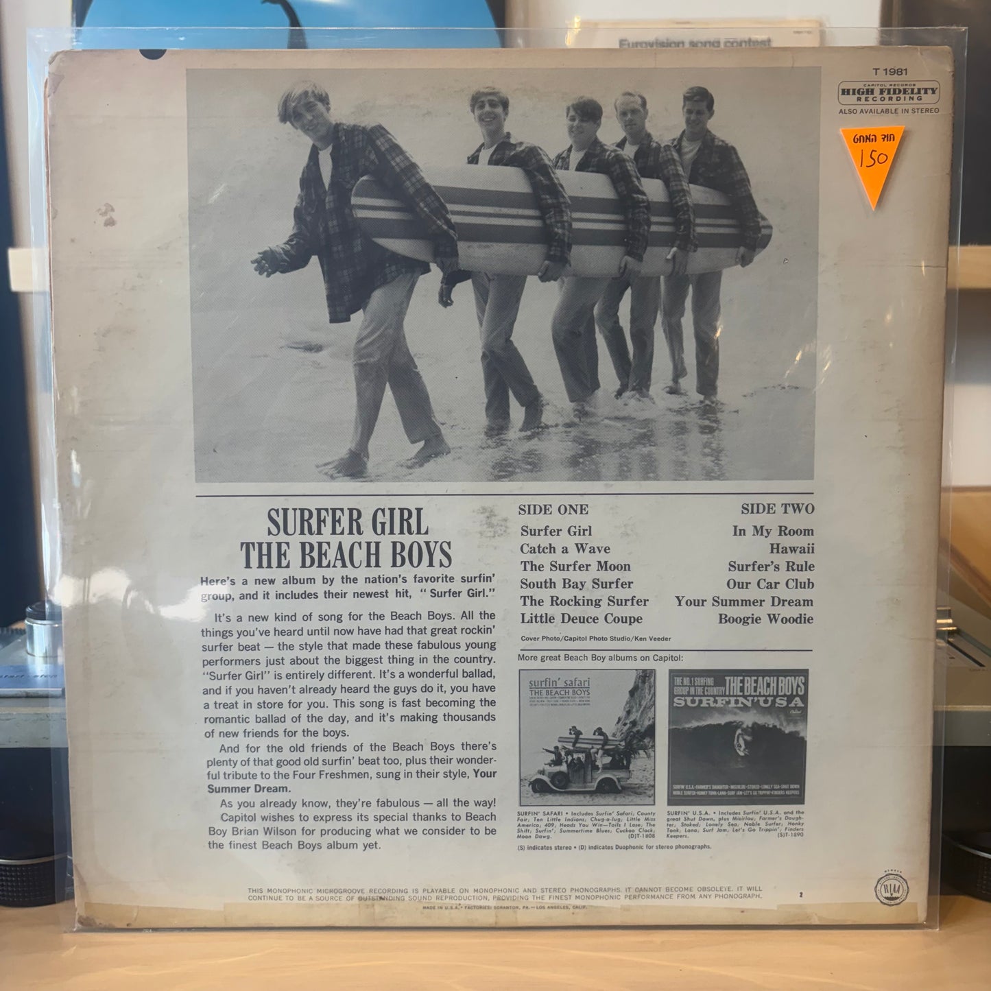 The Beach Boys - Surfer Girl