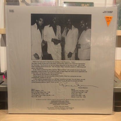 The Dynamics - What A Shame
