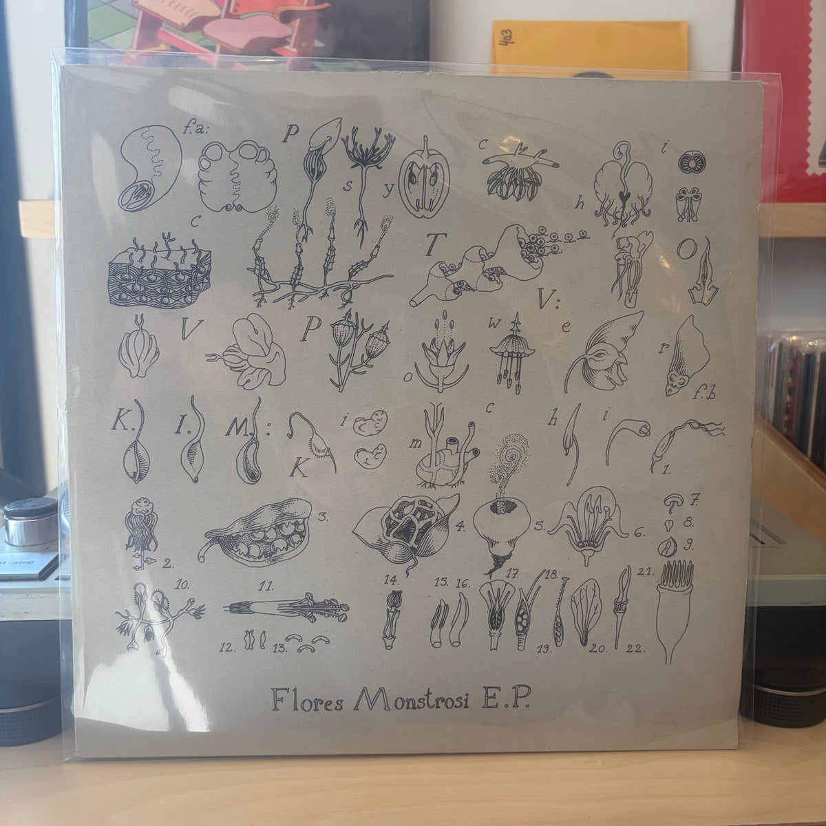 Psychic TV / K.I.M. - Flores Monstrosi E.P.