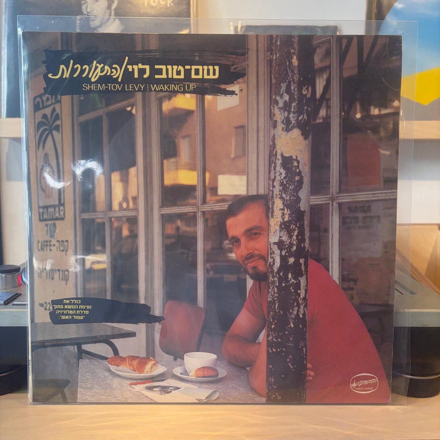 שם טוב לוי - התעוררות