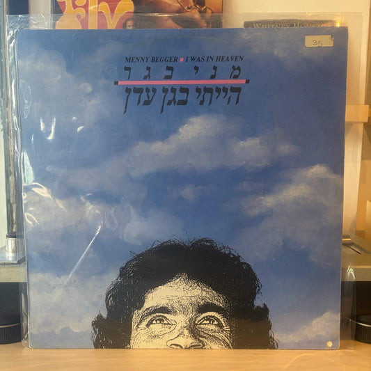מני בגר - הייתי בגן עדן