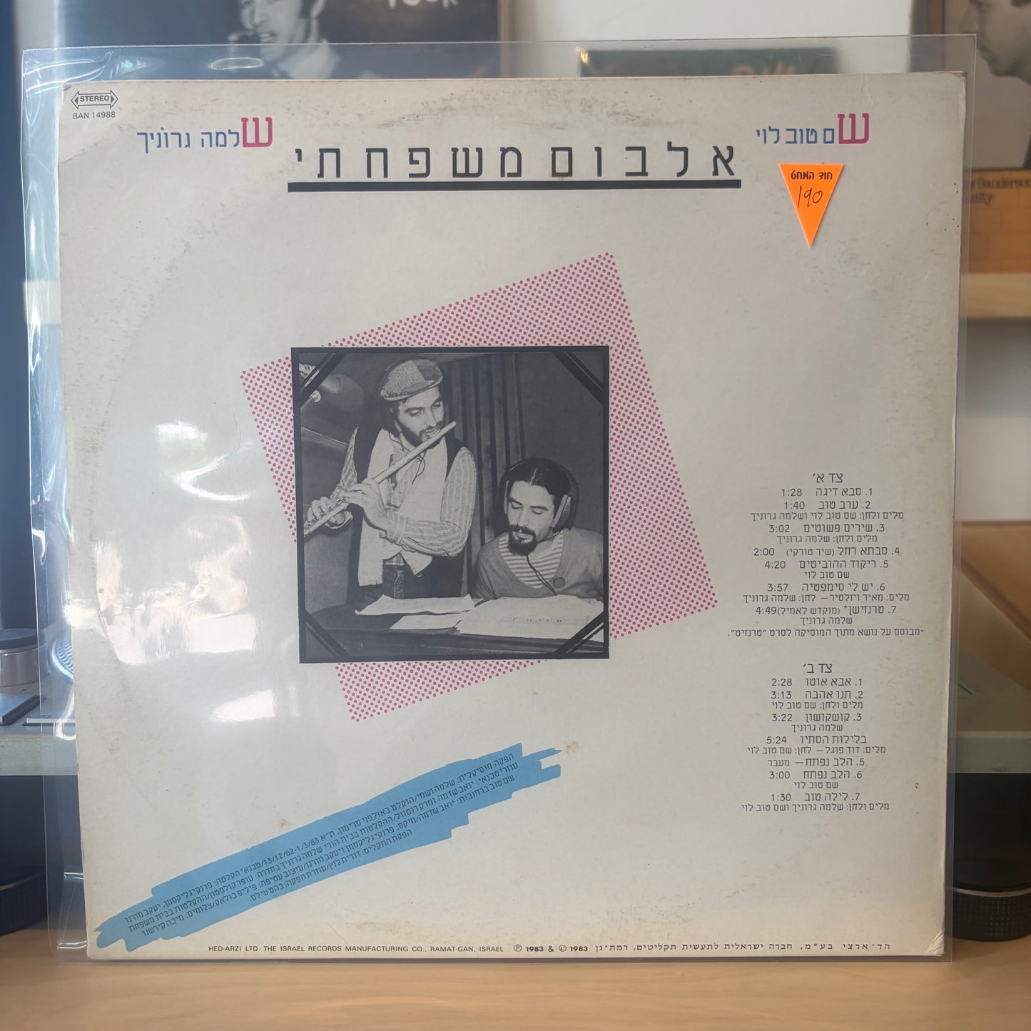 שם טוב לוי, שלמה גרוניך - אלבום משפחתי