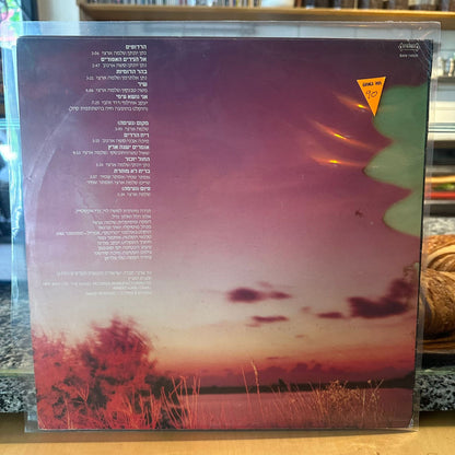 שלמה ארצי - מקום