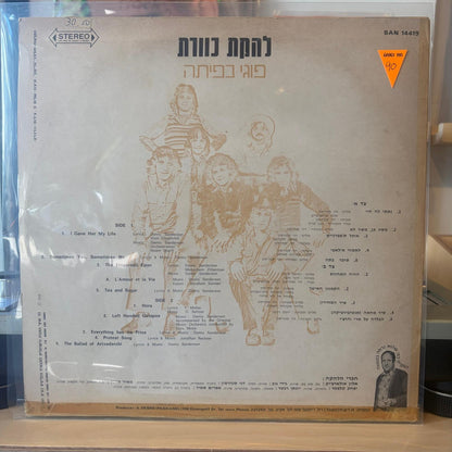 כוורת - פוגי בפיתה