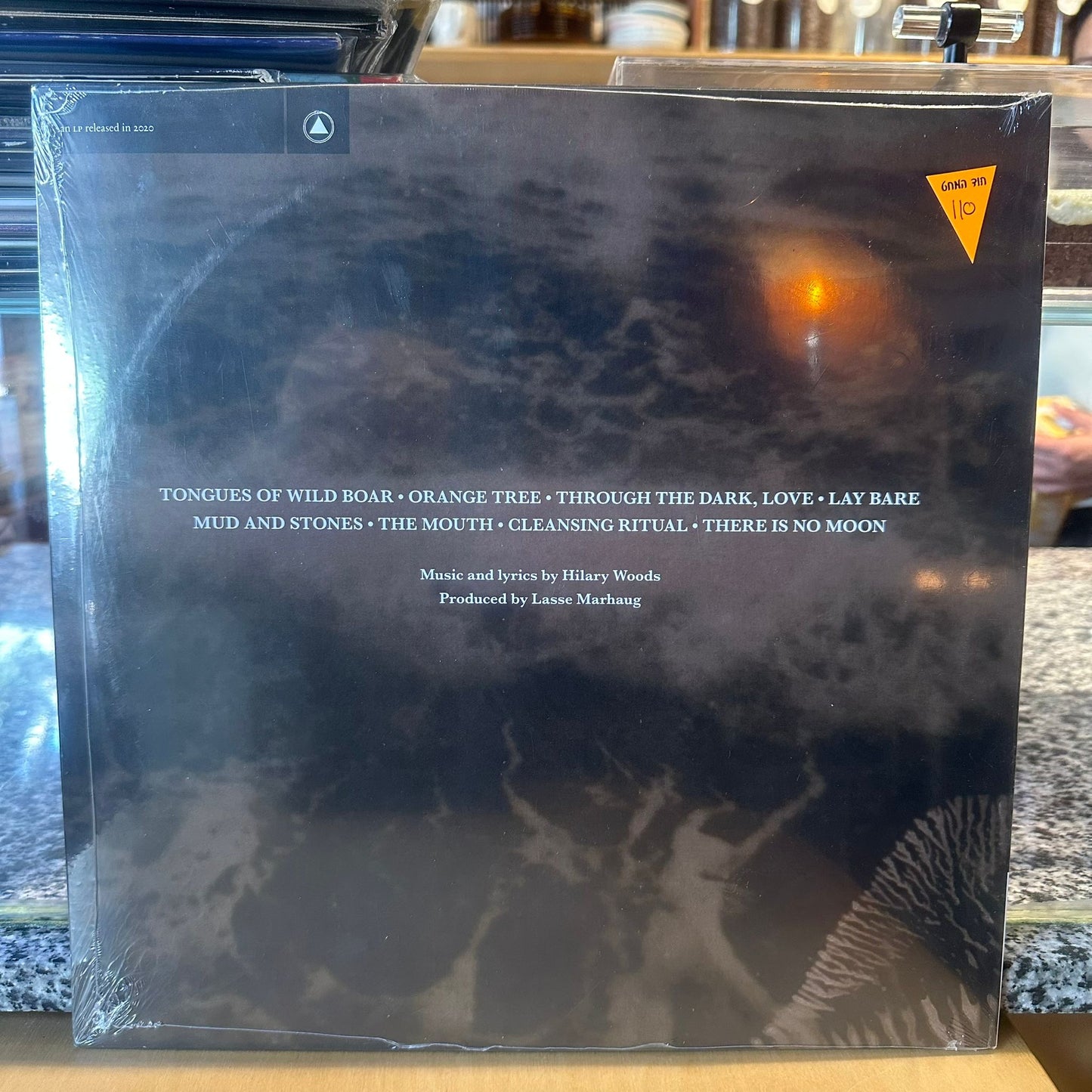 Hilary Woods - Birthmarks