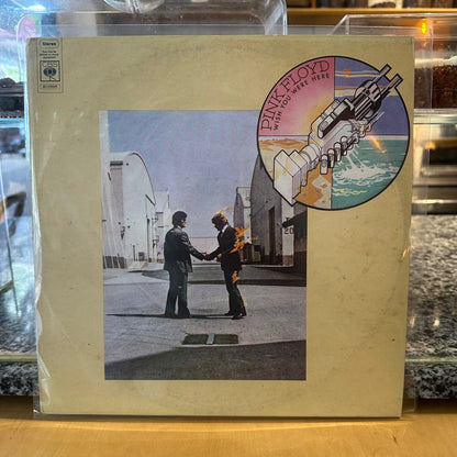 pink floyd - wish you were here