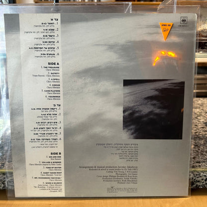 חוה אלברשטיין - הצורך במילה הצורך בשתיקה