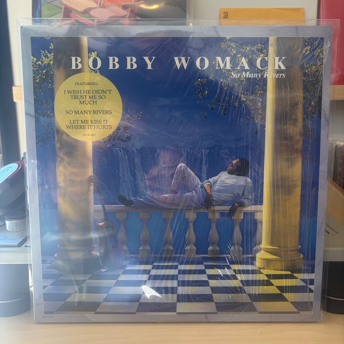 Bobby Womack - So Many Rivers