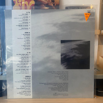 חוה אלברשטיין - הצורך במילה הצורך בשתיקה