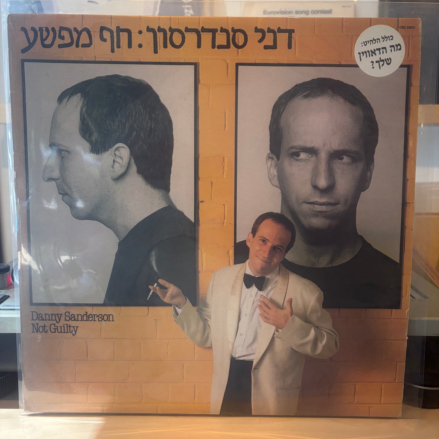 דני סנדרסון - חף מפשע