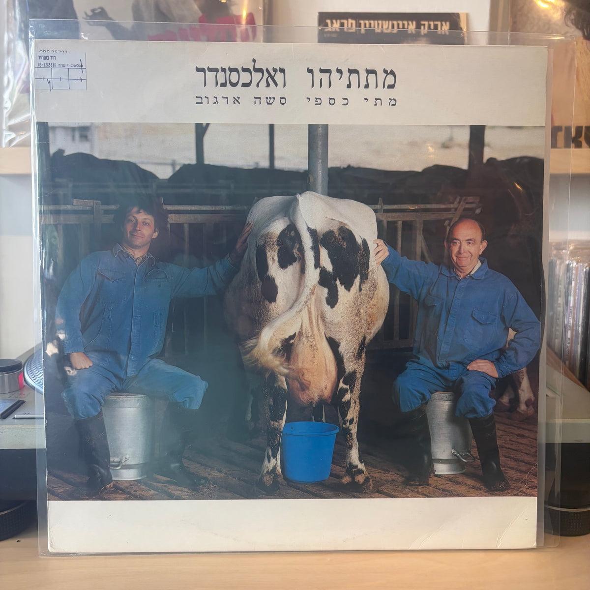 מתי כספי סשה ארגוב - מתתיהו ואלכסנדר