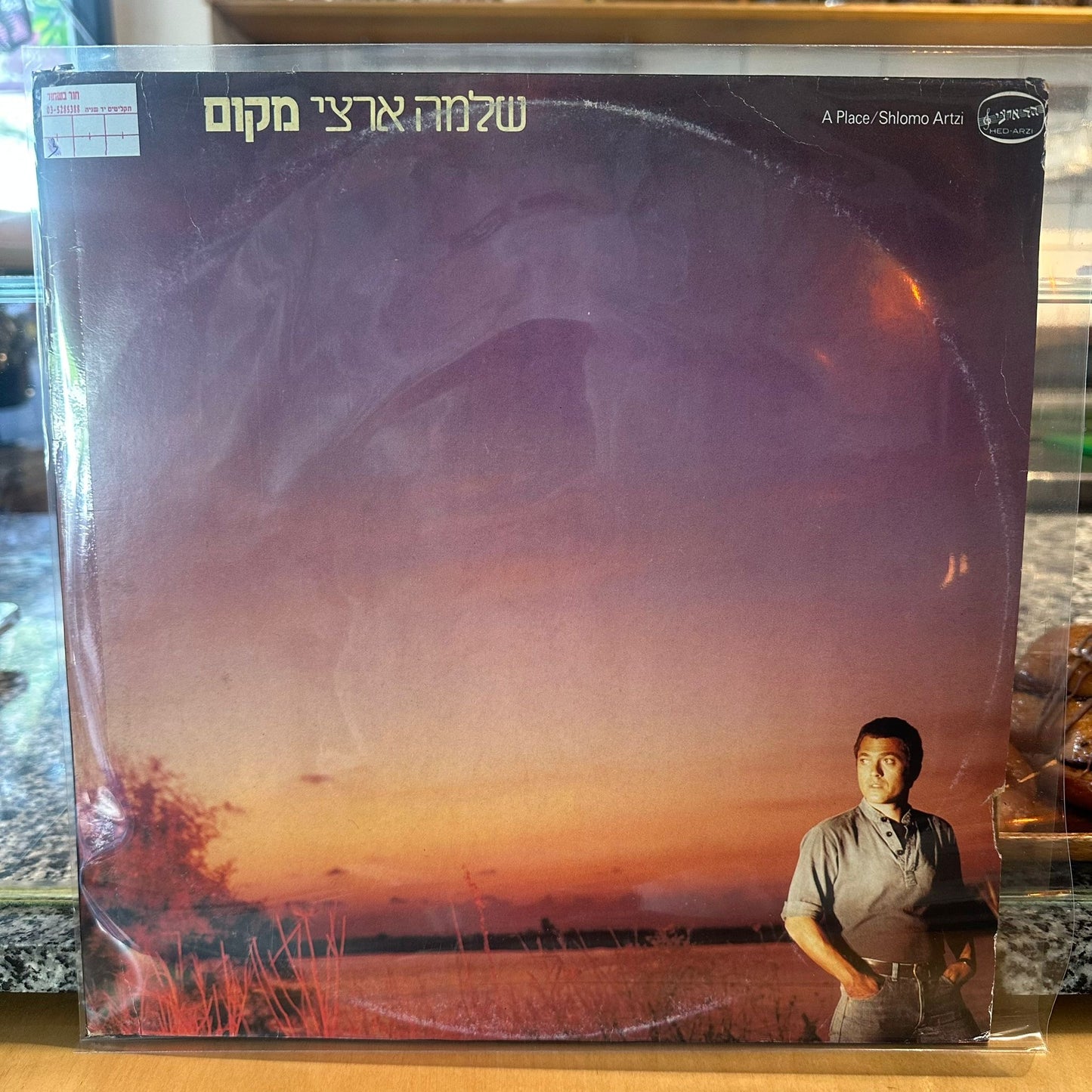 שלמה ארצי – מקום