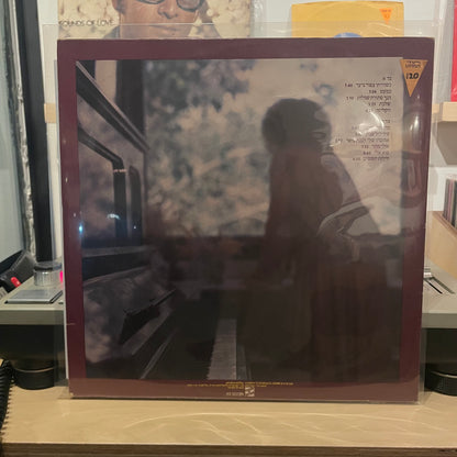 נורית גלרון - נורית גלרון