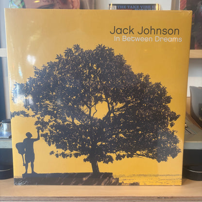 Jack Johnson - In Between Dreams
