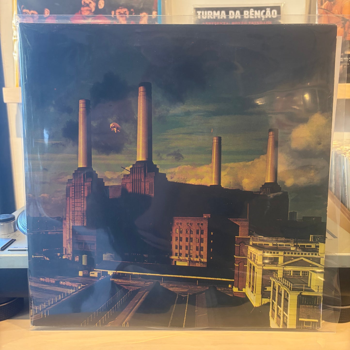 Pink Floyd - Animals