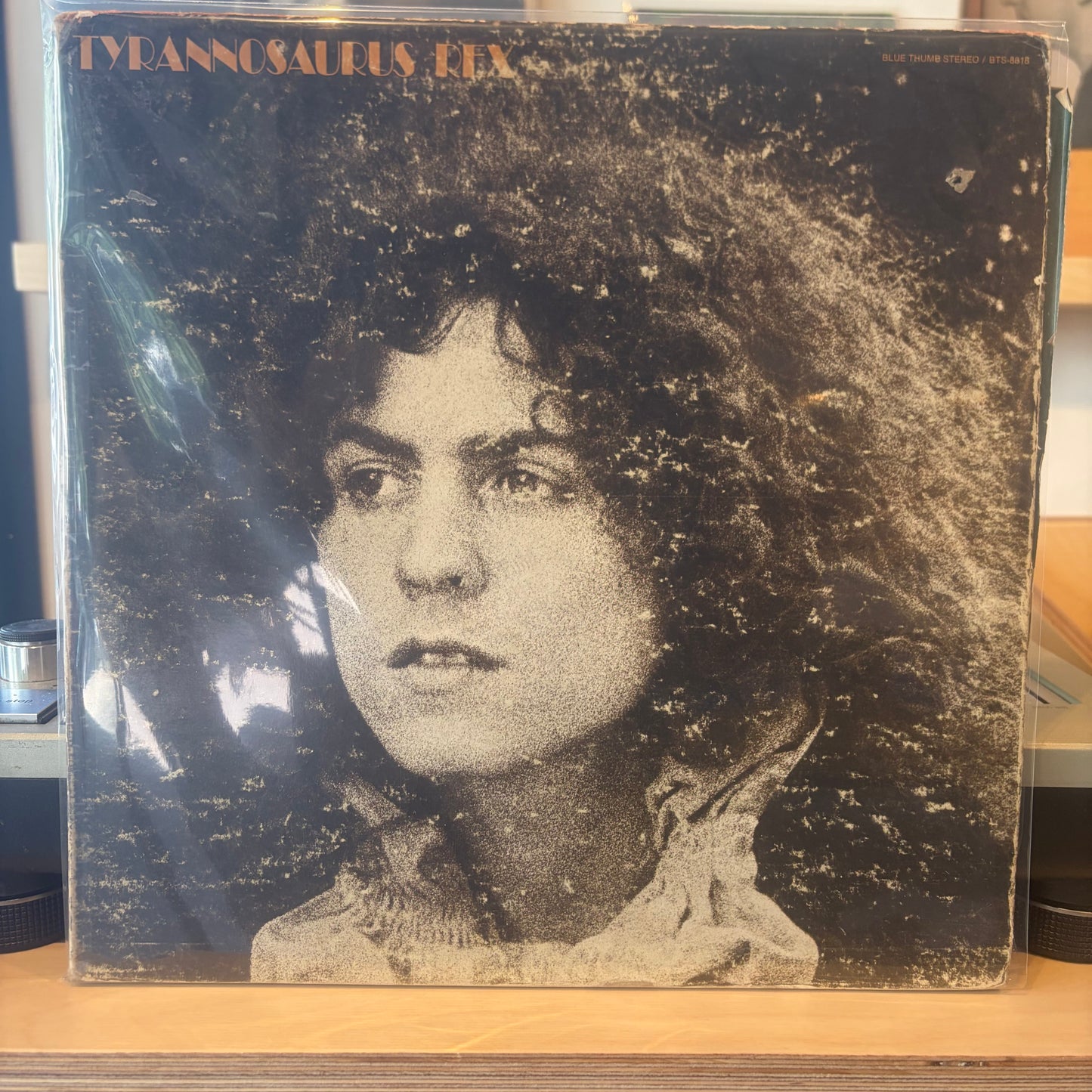 Tyrannosaurus Rex - A Beard Of Stars