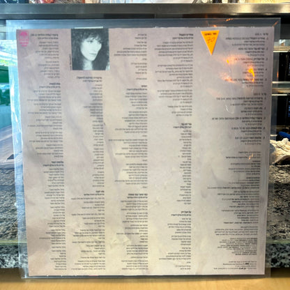 נורית גלרון — אחרינו המבול