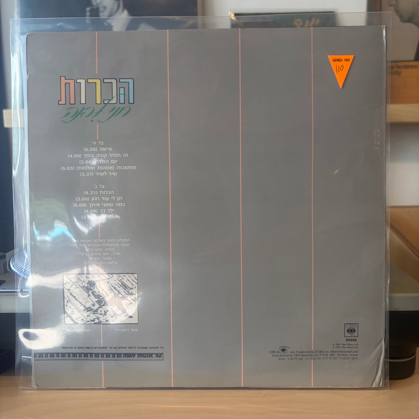 חני לבנה - הכרות