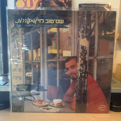 שם טוב לוי - התעוררות