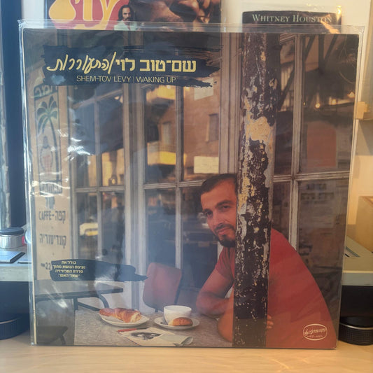 שם טוב לוי - התעוררות