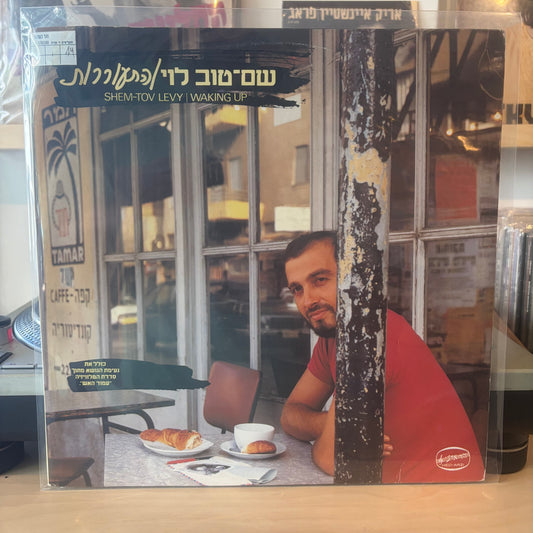 שם טוב לוי - התעוררות