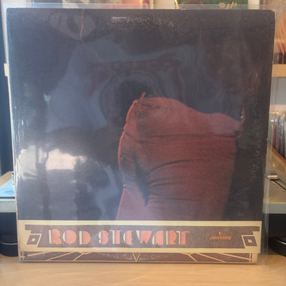 Rod Stewart - Every Picture Tells A Story