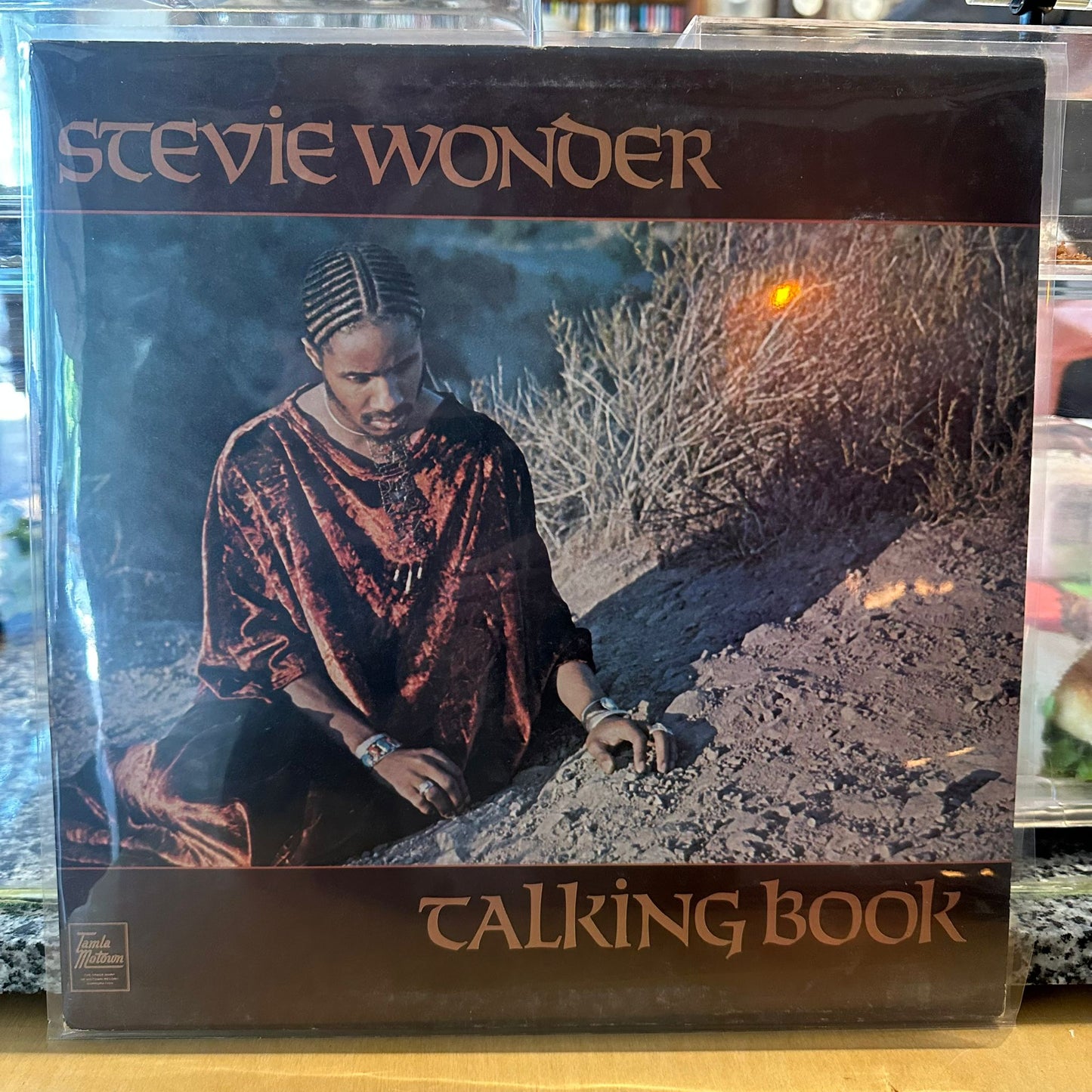 Stevie Wonder - Talking Book