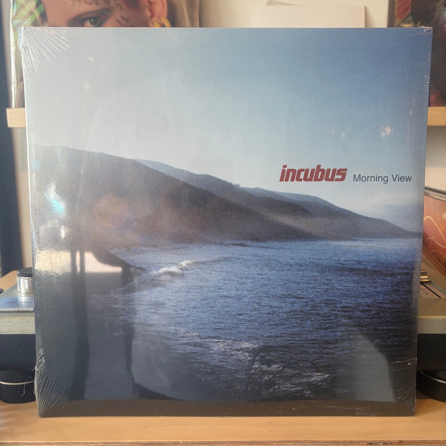 Incubus - Morning View
