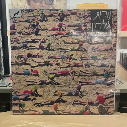 נורית גלרון - אחרינו המבול