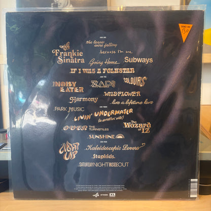 The Avalanches - Wildflower