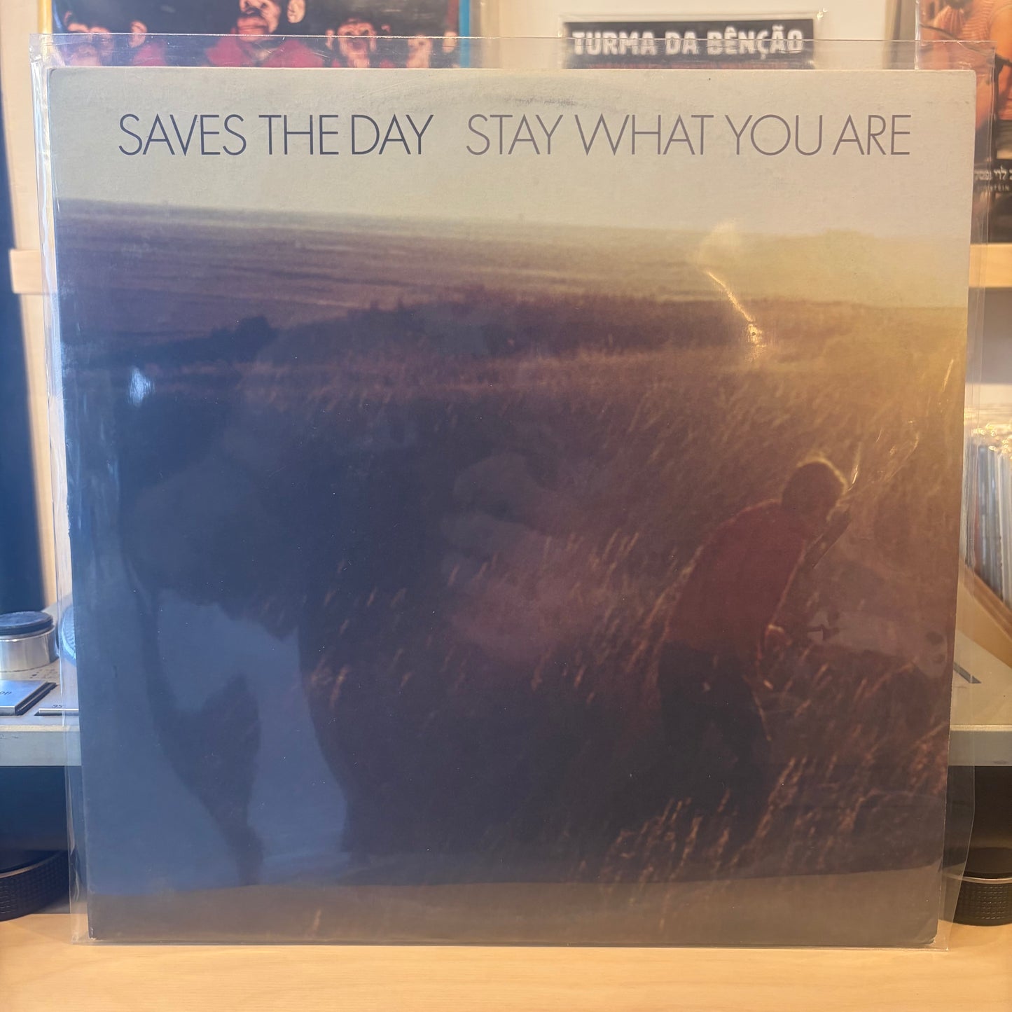 Saves The Day - Stay What You Are