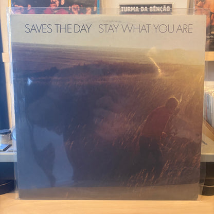 Saves The Day - Stay What You Are