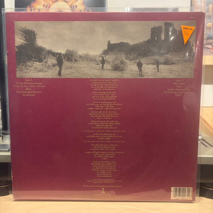 U2 - The Unforgettable Fire