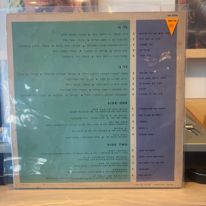 אריק לביא - שיר הוא לא רק מילים