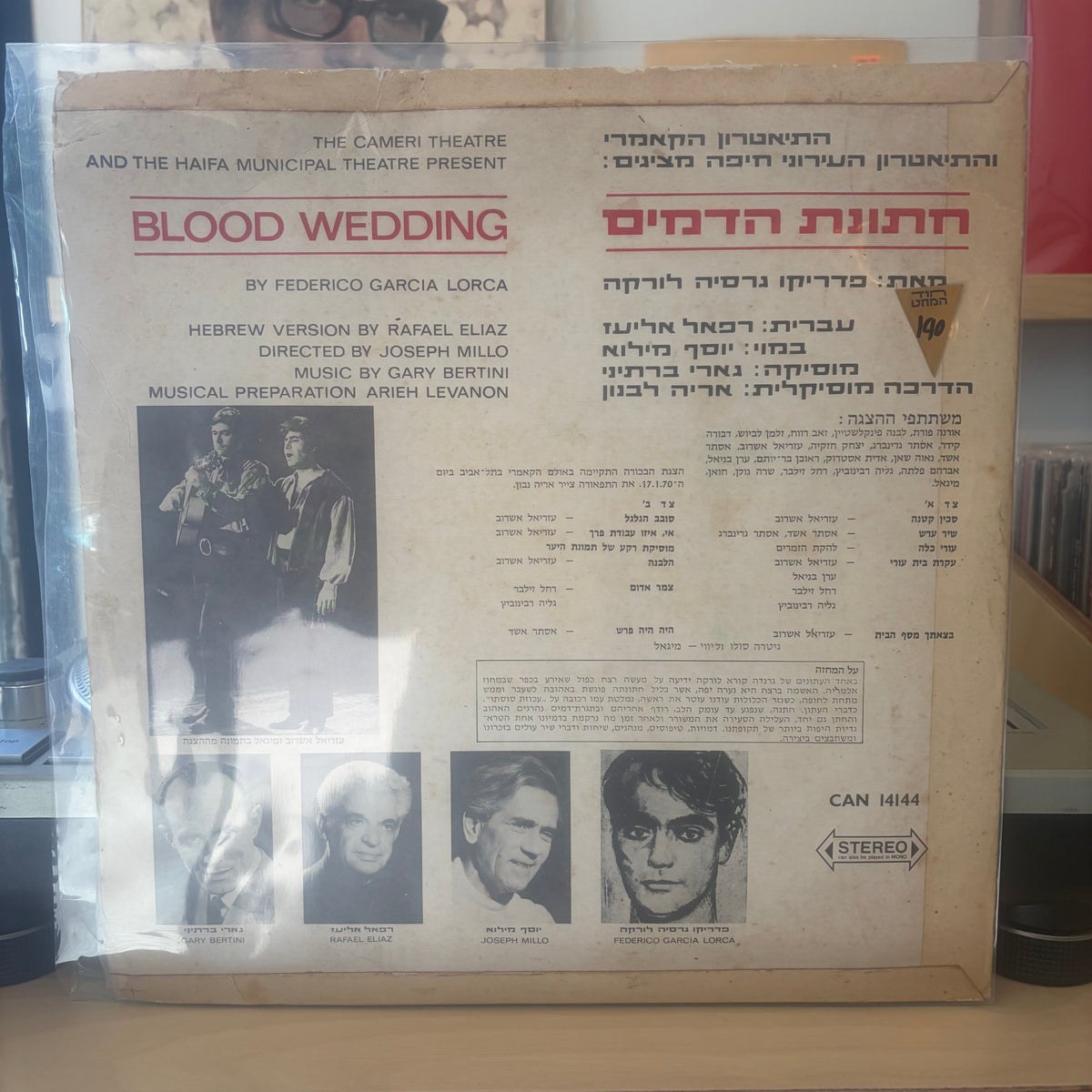 התיאטרון הקאמרי, התיאטרון העירוני חיפה - חתונת הדמים