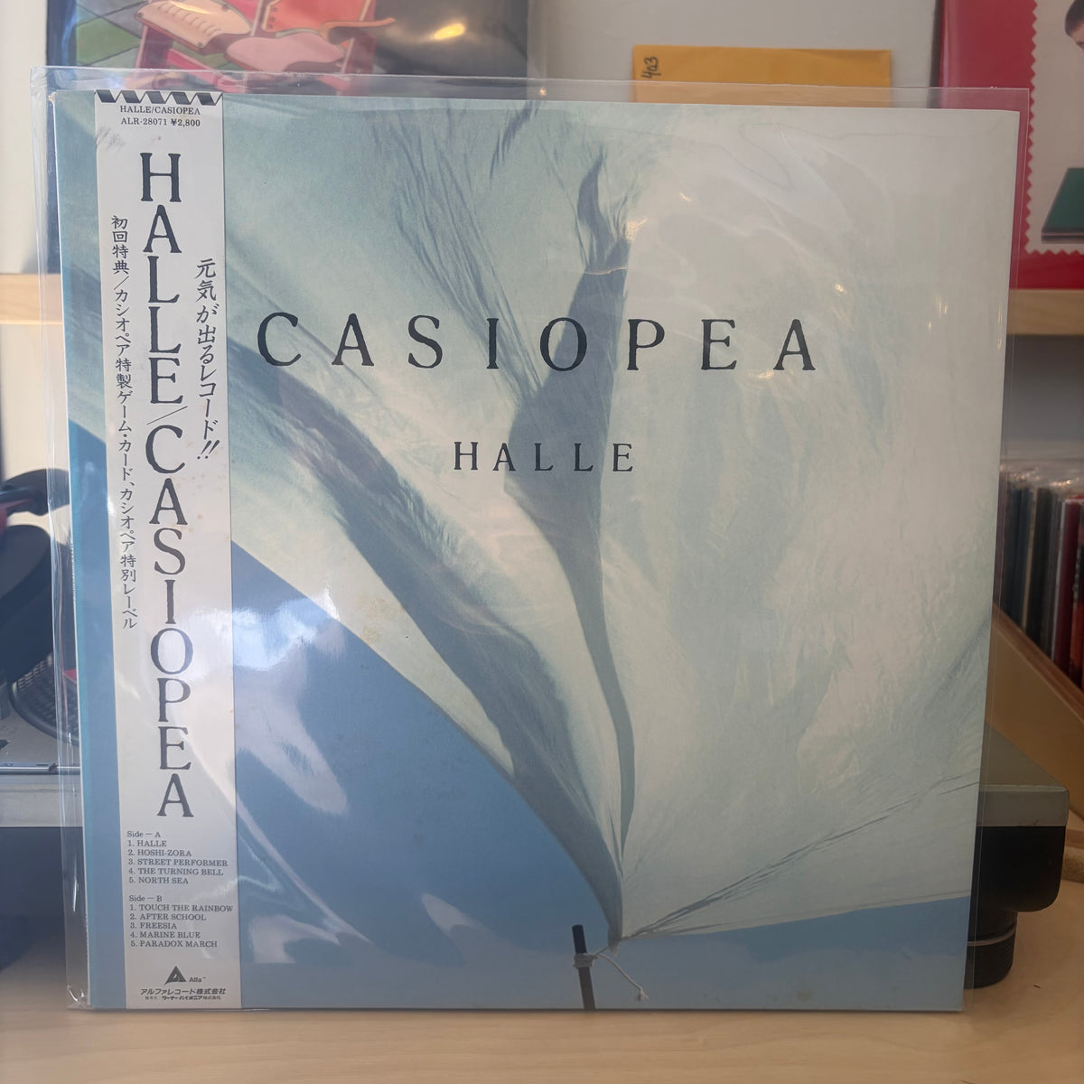 Casiopea - Halle