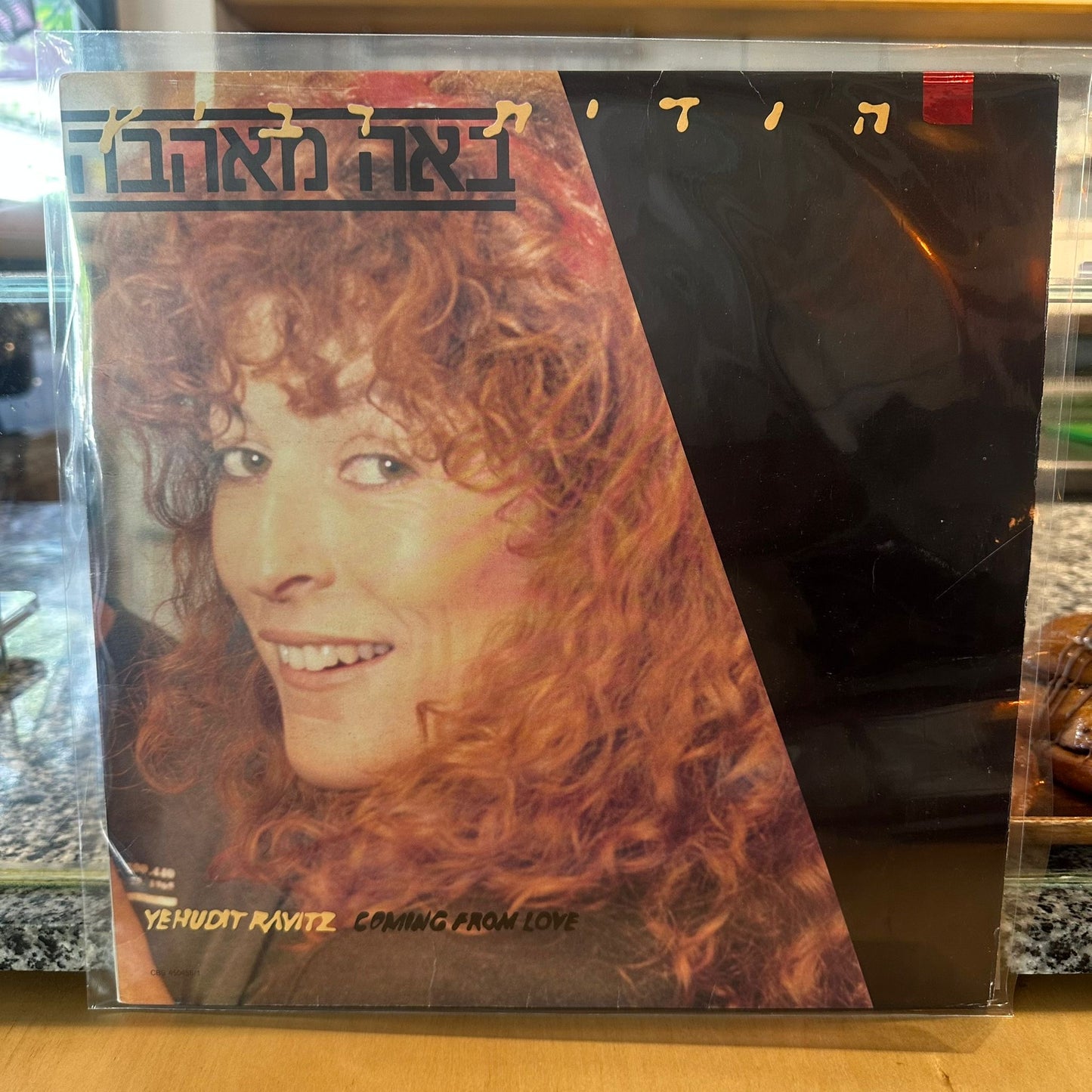 יהודית רביץ – באה מאהבה