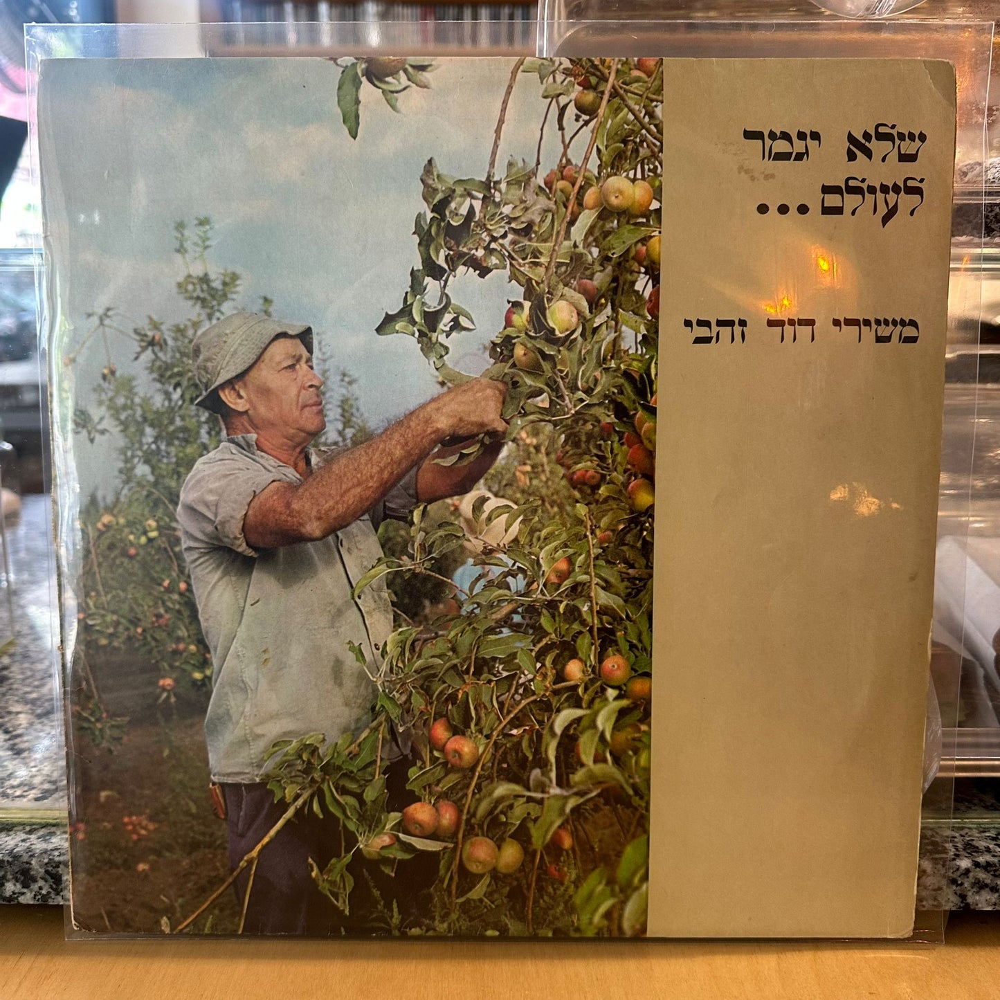 שלא יגמר לעולם... – משירי דוד זהבי