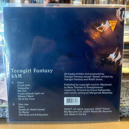 Teengirl Fantasy - 8:00 AM