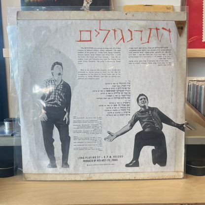התרנגולים - התרנגולים