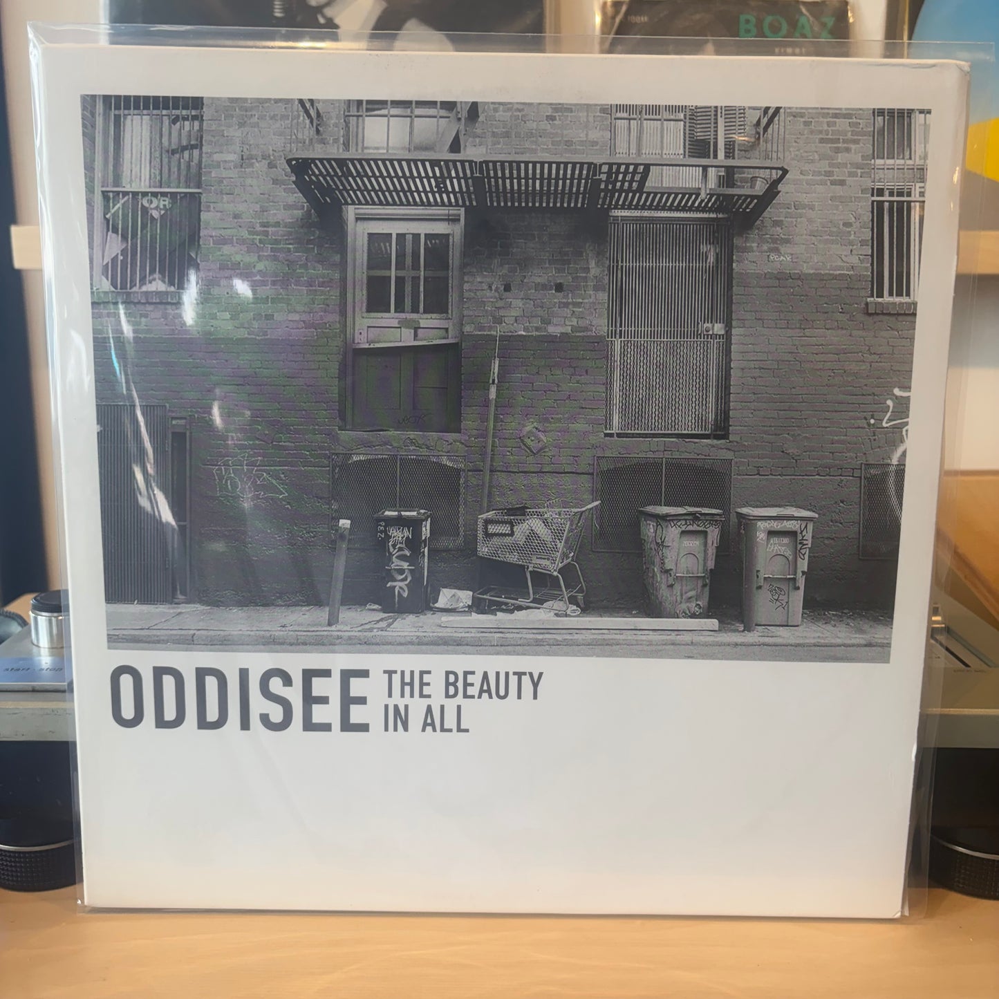 Oddisee - The Beauty In All