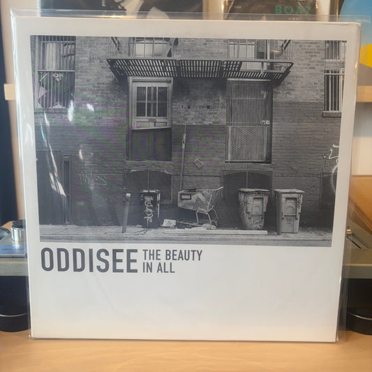 Oddisee - The Beauty In All